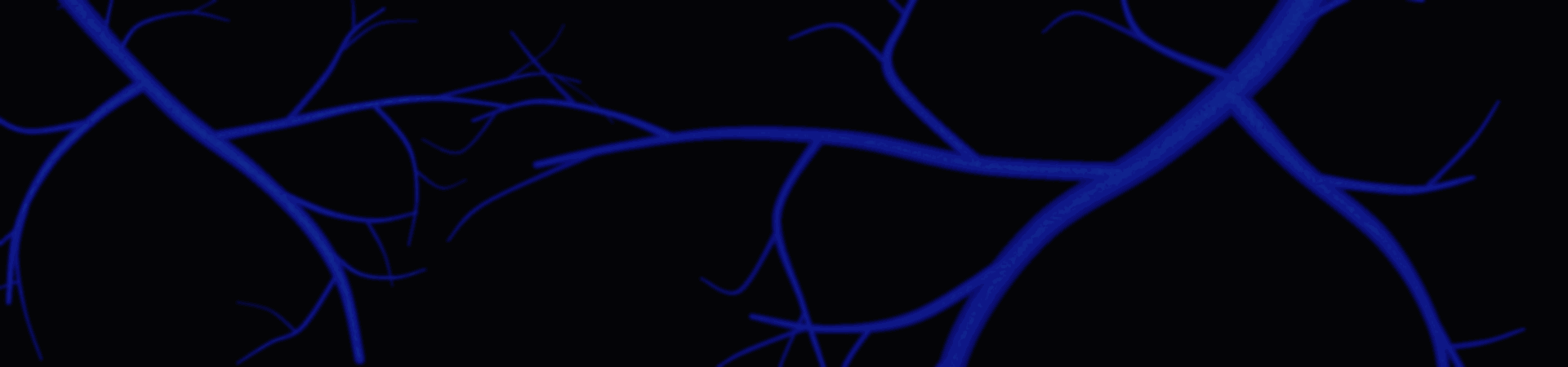 ViewFlow hemodynamic visualization