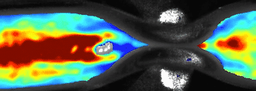 ViewFlow clamping tube demonstration — flow speed changes